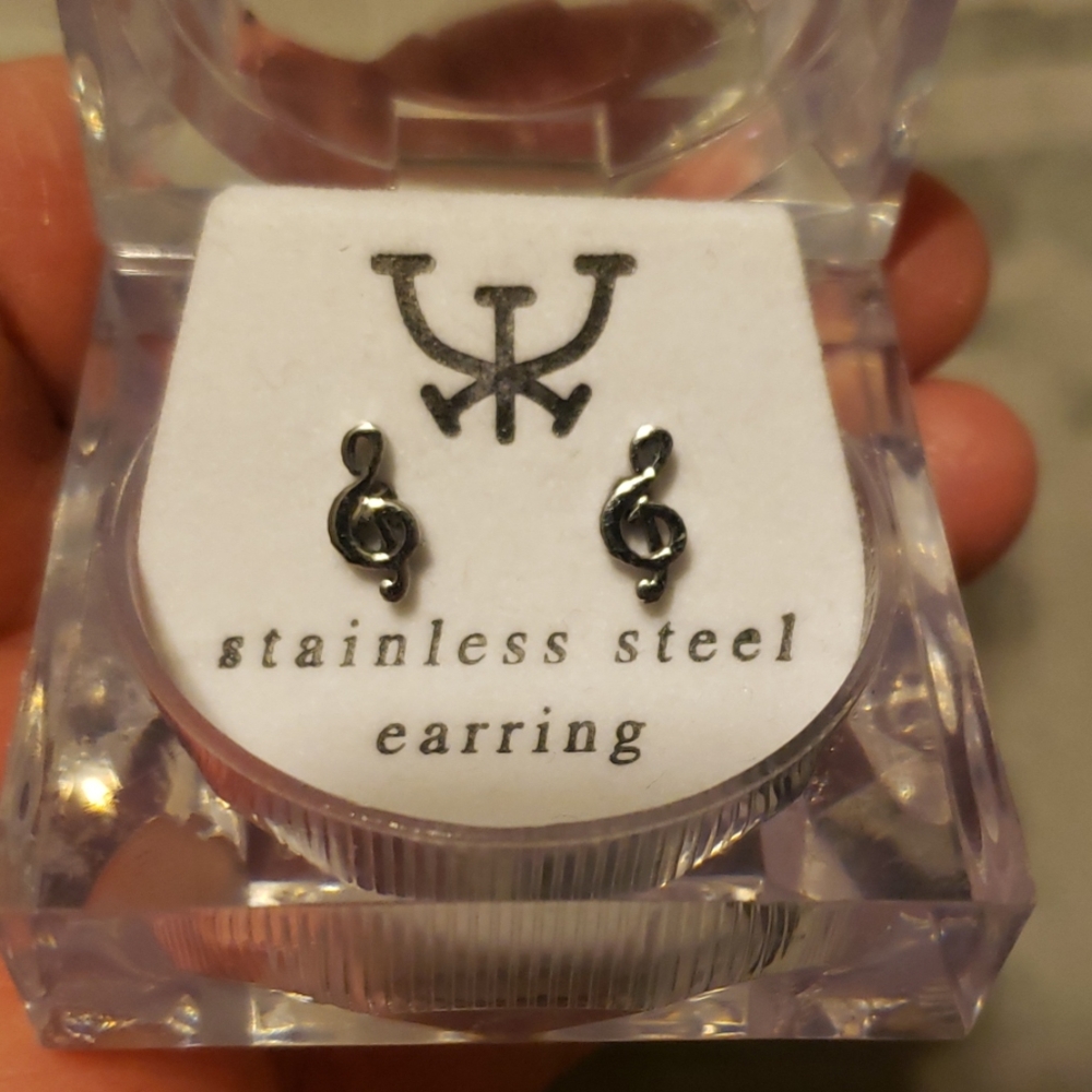 Stainless steel earrings